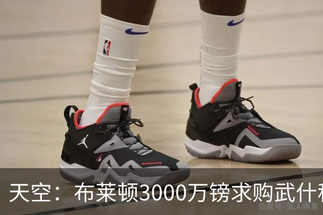 天空：布莱顿3000万镑求购武什科维奇，预计热刺对其估值超6000万